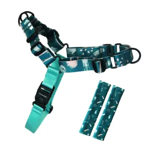 Nova RNT No-Pull Training Harness