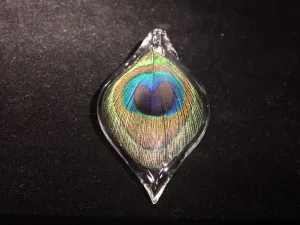 Peacock Pendant by Annie Woods
