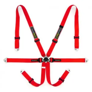 Racetech Pro International 6-Point Lightweight GT Harness