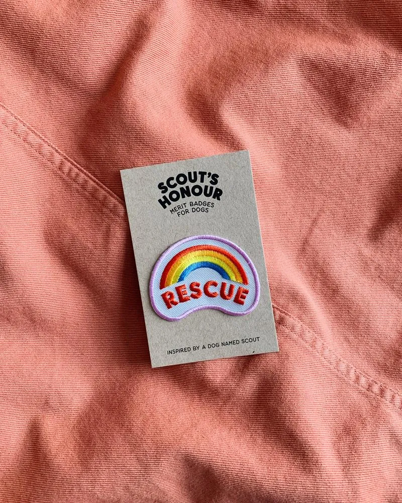 Rescue - Merit Badge