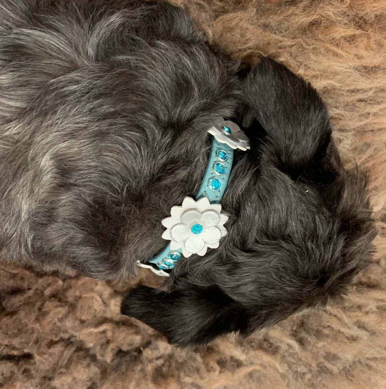 Rumi Flower Leather Dog Collar with 3 Crystals between Flower
