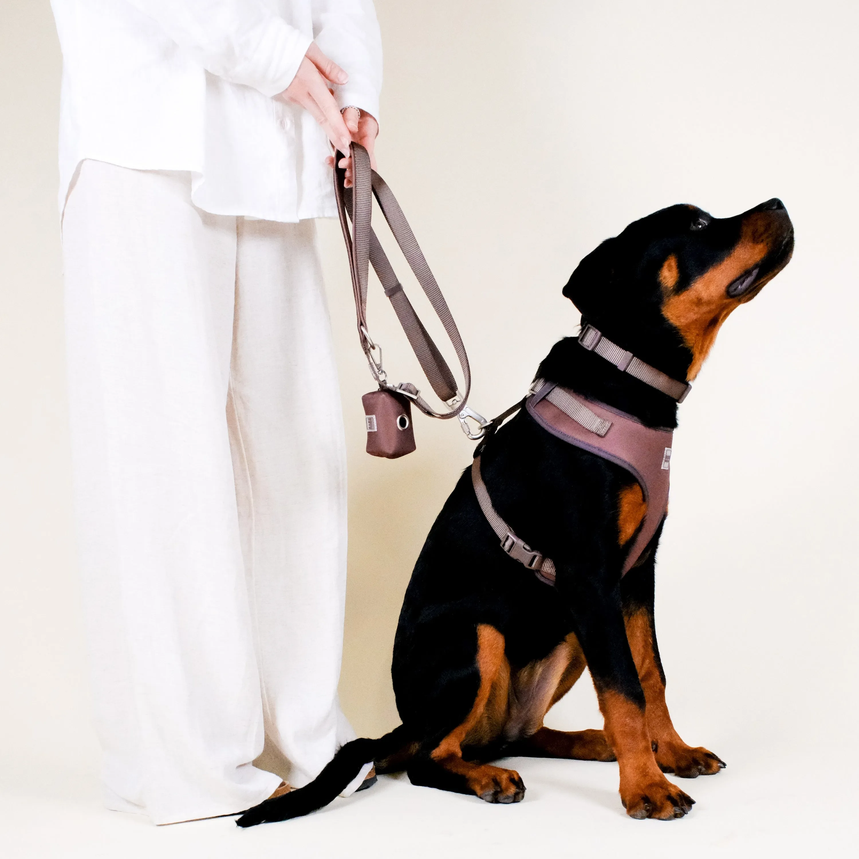 Russet Brown Essential Adjustable Lead