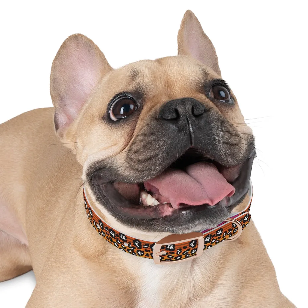 Shadow Leopard Serape Dog Collar