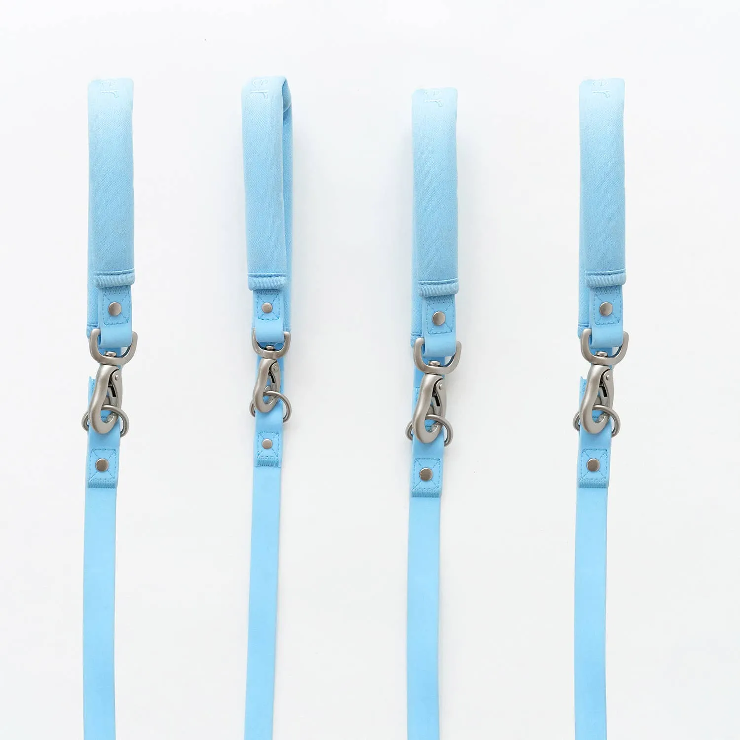 Sky Blue Leash