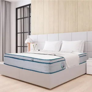 Sleepy Panda Mattress 5 Zone Pocket Spring EuroTop Medium Firm 30cm Thickness