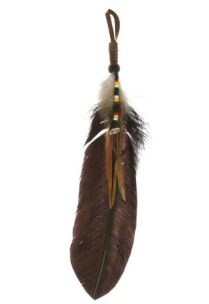 Spirit Feather Reflection