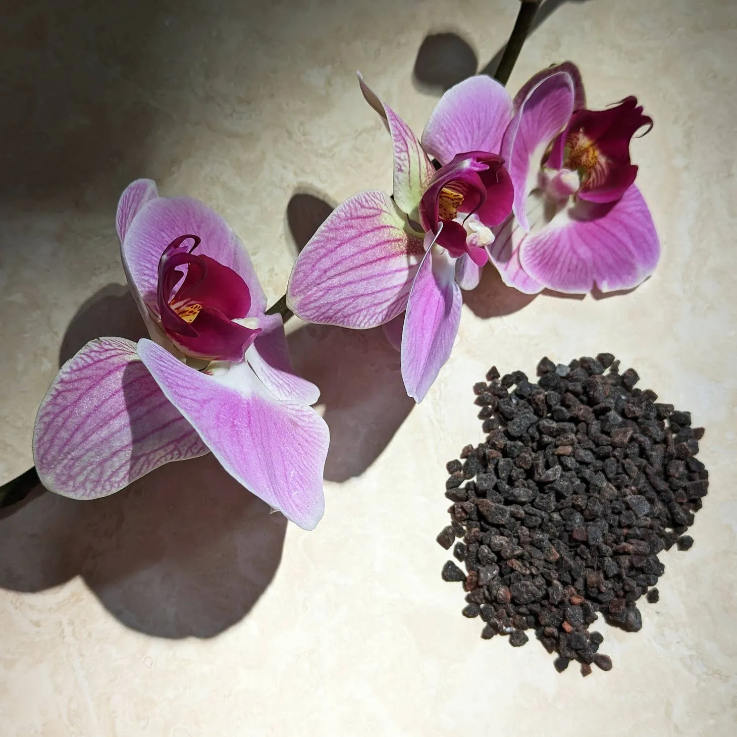 WILD ORCHID & BLACK SALT