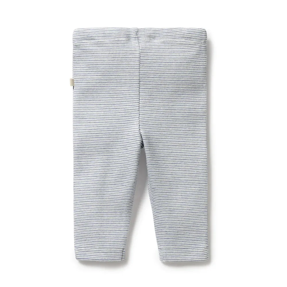 Wilson   Frenchy Organic Stripe Rib Legging - Rain Drop