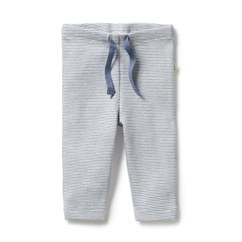 Wilson   Frenchy Organic Stripe Rib Legging - Rain Drop