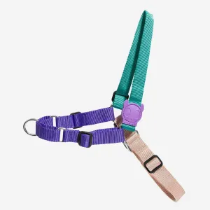 Zee.Dog Boogie Soft Walk Harness